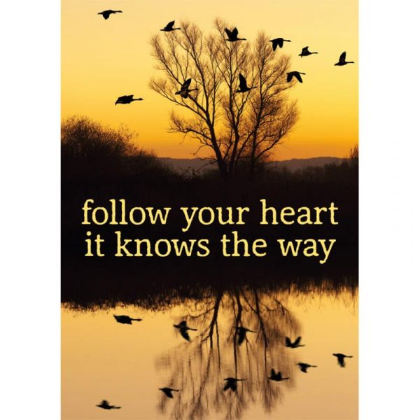 Ansichtkaarten Follow your heart -- 15x10.5 cm