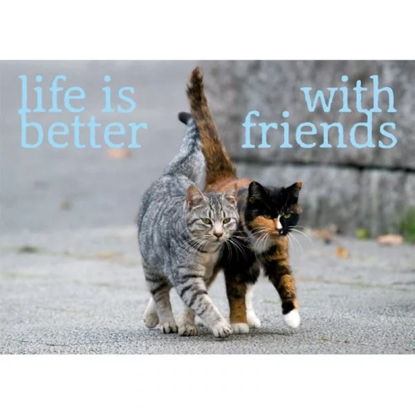 Ansichtkaarten Life is better.. -- 15x10.5 cm