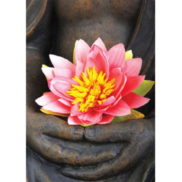 Ansichtkaarten Lotus -- 15x10.5 cm