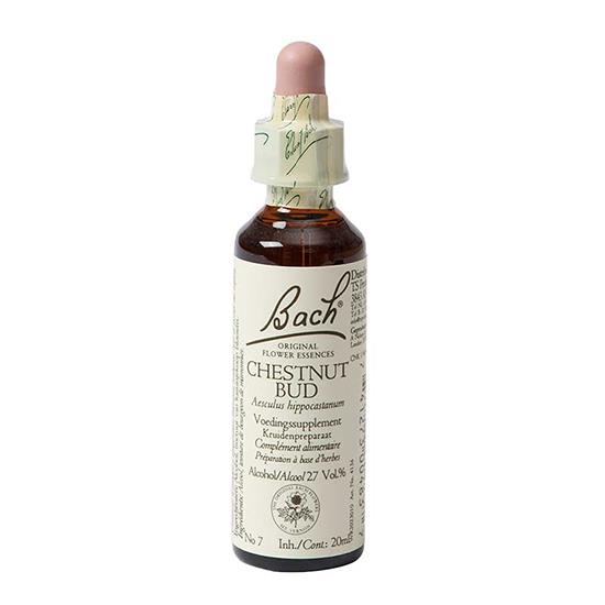 Bach Flower Remedie Chestnut Bud -- 20 ml