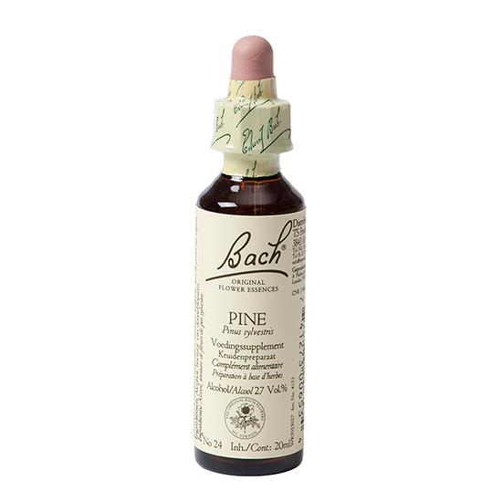 Bach Flower Remedie Pine -- 20 ml