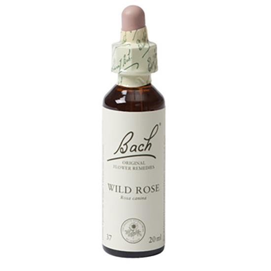 Bach Flower Remedie Wild Rose -- 20 ml