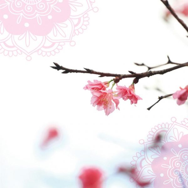 Dubbele kaarten Bloesem -- 14x14 cm