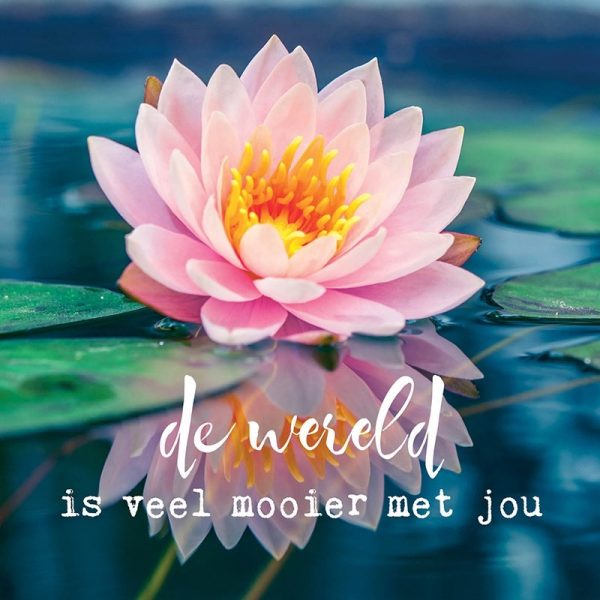 Dubbele kaarten De wereld is veel mooier.. -- 14x14 cm