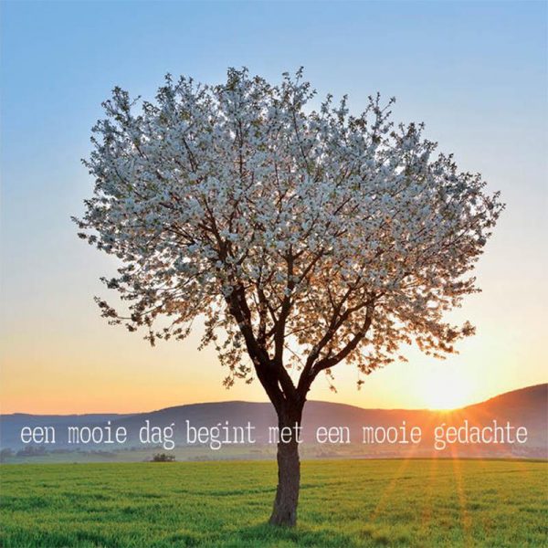 Dubbele kaarten Een mooie dag begint.. -- 14x14 cm