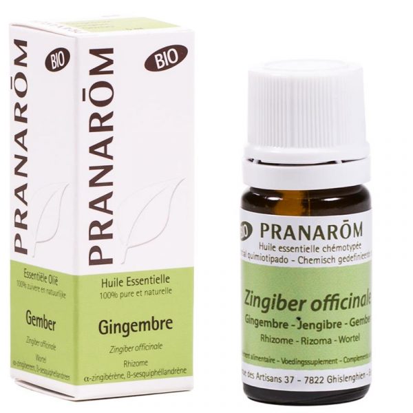Etherische olie Gember (Zingiber officinale) BIO -- 5 ml