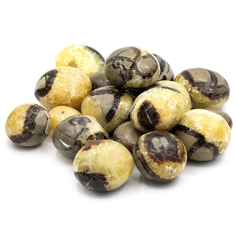 Jumbostenen septaria -- 500g