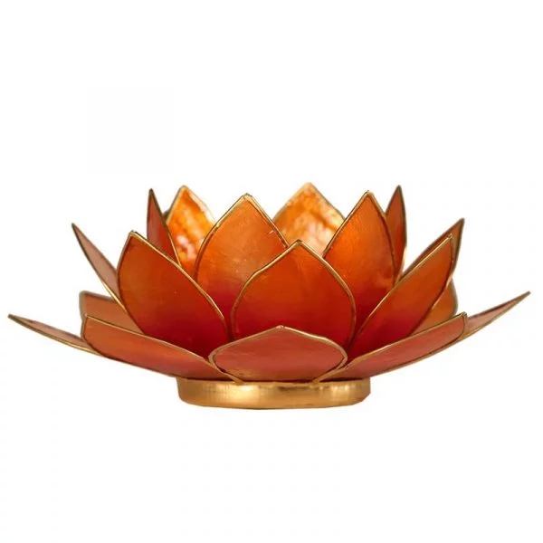 Lotus sfeerlicht 2-kleurig roze-oranje -- 13.5 cm