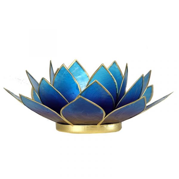 Lotus sfeerlicht 2-kleurig violet-blauw -- 13.5 cm
