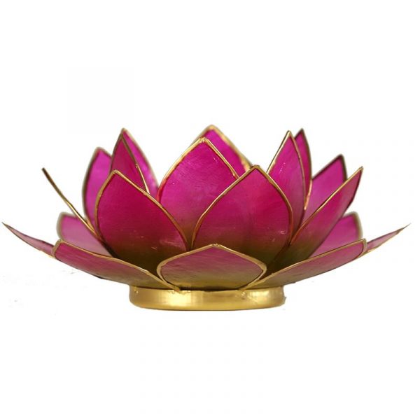 Lotus sfeerlicht groen/roze 2-kleurig -- 13.5 cm