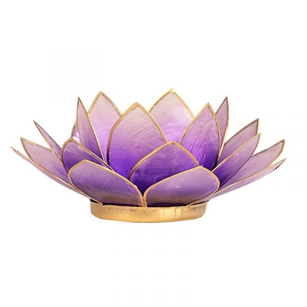 Lotus sfeerlicht violet goudrand -- 13.5 cm