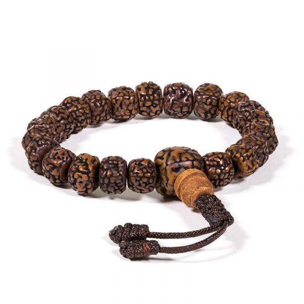 Mala/armband gepolijste rudraksha 21 kralen -- 0.8 cm