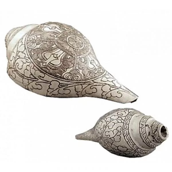 Rituele schelp dubbele dorje Puja Schelp -- ±18 cm