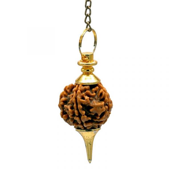 Rudraksha Pendel goudkleurig -- 10 g; 4.5 cm