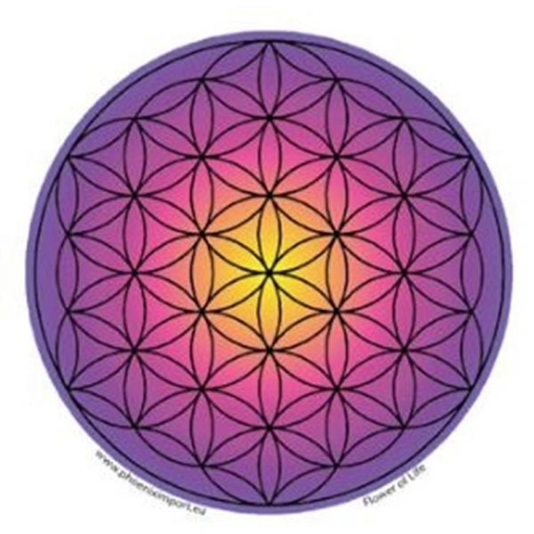 Raamsticker Bloem des Levens -- 10.5 cm