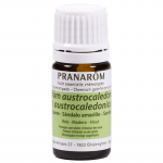 Etherische olie Sandelhout (Santalum austrocal. var. austroc - Afbeelding 3