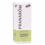 Etherische olie Eucalyptus globulus (Eucalyptus glob.) BIO - - Afbeelding 2