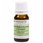 Etherische olie Lavandin super (Lavand. interm. super) BIO - - Afbeelding 3