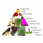 Aromafume Chakra wierookblokjes 2e chakra -- 40g - Afbeelding 3