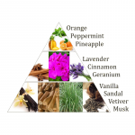 Aromafume Chakra wierookblokjes 5e chakra -- 40g - Afbeelding 3