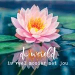 Dubbele kaarten De wereld is veel mooier.. -- 14x14 cm - Afbeelding 2