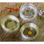 Drinkglas Mythos met Bloem des Levens wit gegraveerd -- 250 - Afbeelding 2