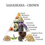 Sahasrara chakra essentiële olie mix Aromafume - 10 ml - Afbeelding 2