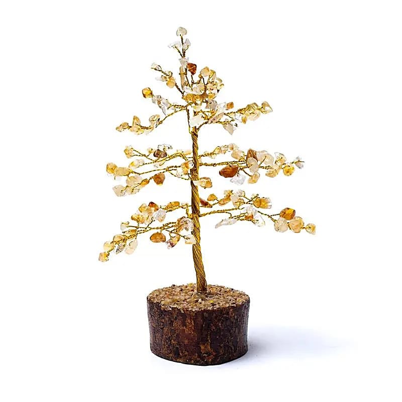 78374 Edelsteenboom Citrien ±18 cm - Afbeelding 1
