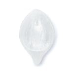 Seleniet schaal blad - Afbeelding 3