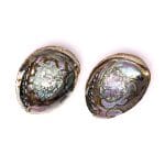 Groene Abalone smudge schelp Haliotis Fulgens L - Afbeelding 2